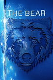 The Bear poster image