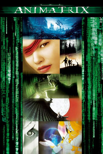 The Animatrix poster image