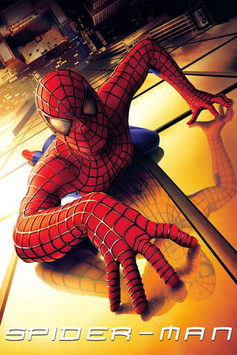 Spider-Man poster image