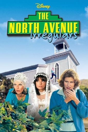 The North Avenue Irregulars poster image