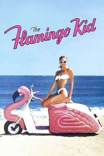 The Flamingo Kid poster image