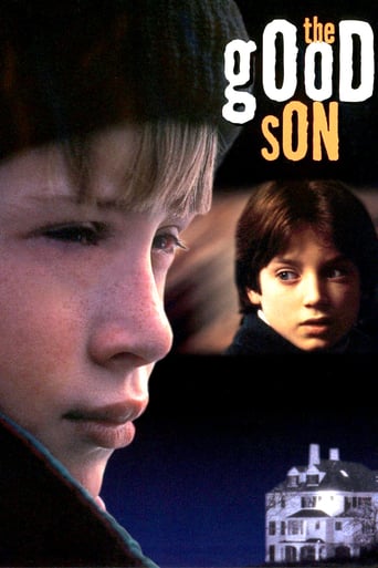 The Good Son poster image