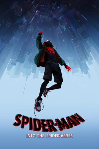 Spider-Man: Into the Spider-Verse poster image