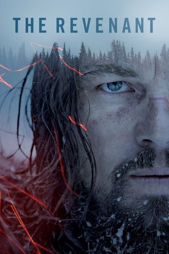 The Revenant poster image