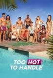 Too Hot to Handle poster image