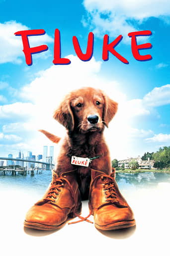 Fluke poster image