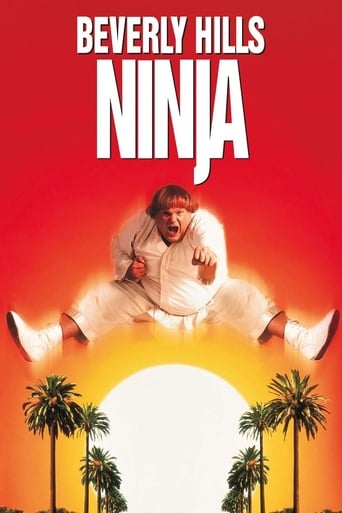 Beverly Hills Ninja poster image