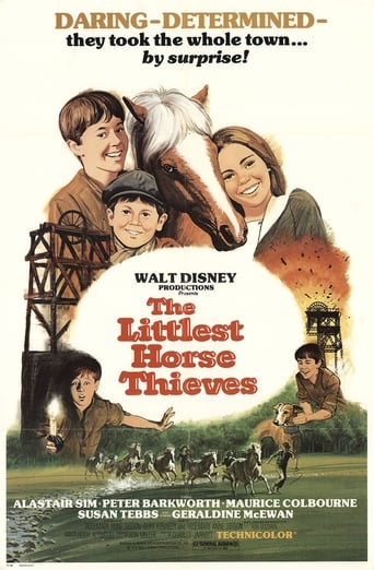 The Littlest Horse Thieves poster image