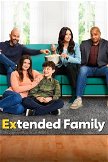 Extended Family poster image