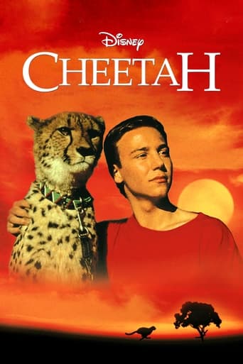 Cheetah poster image