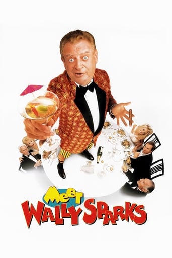 Meet Wally Sparks poster image