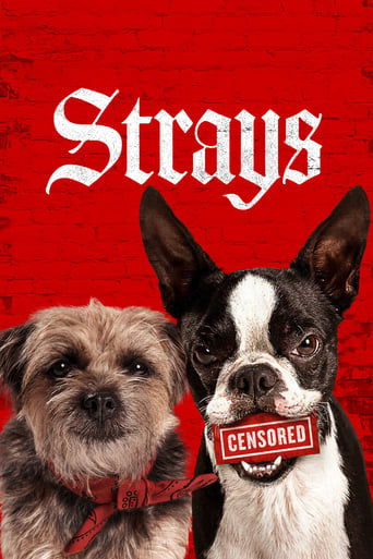 Strays poster image