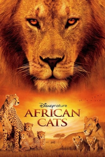 African Cats poster image