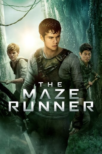 The Maze Runner poster image