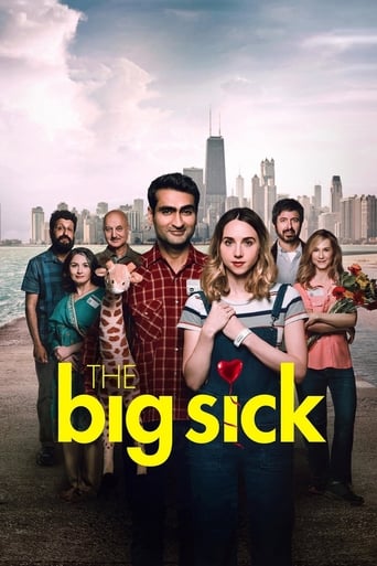 The Big Sick poster image