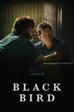 Black Bird poster image