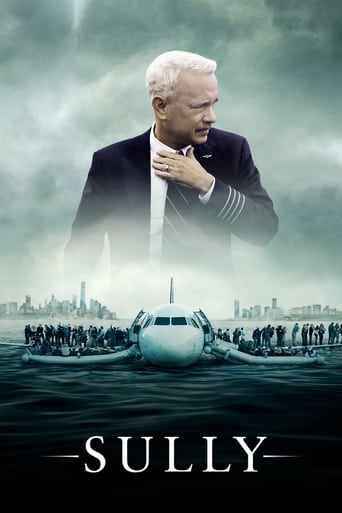 Sully poster image