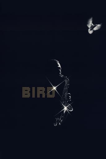 Bird poster image