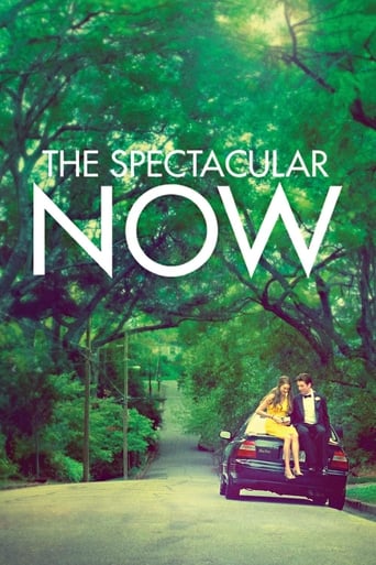 The Spectacular Now poster image