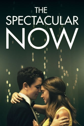 The Spectacular Now poster image