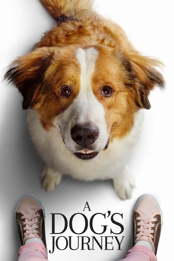 A Dog's Journey poster image