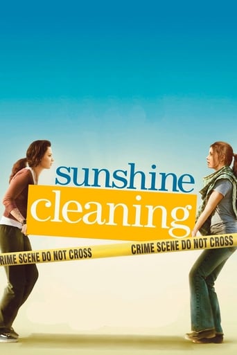 Sunshine Cleaning poster image