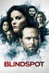 Blindspot poster