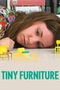 Tiny Furniture poster