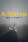 Ai Weiwei: Never Sorry poster