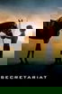 Secretariat poster