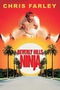 Beverly Hills Ninja poster