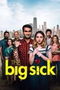 The Big Sick poster