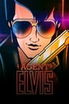 Agent Elvis poster