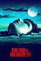 Dead & Buried poster