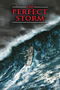 The Perfect Storm poster