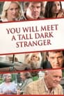 You Will Meet a Tall Dark Stranger poster