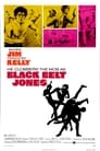 Black Belt Jones poster