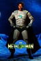 The Meteor Man poster