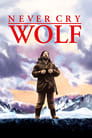 Never Cry Wolf poster