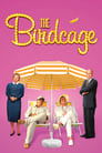 The Birdcage poster