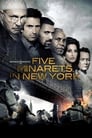 Five Minarets in New York poster