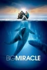 Big Miracle poster