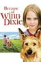 Because of Winn-Dixie poster