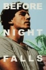 Before Night Falls poster