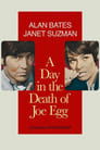 A Day in the Death of Joe Egg poster