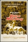 Ride a Wild Pony poster