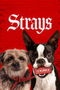 Strays poster