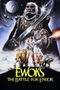 Ewoks: The Battle for Endor poster