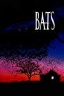 Bats poster