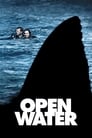 Open Water poster